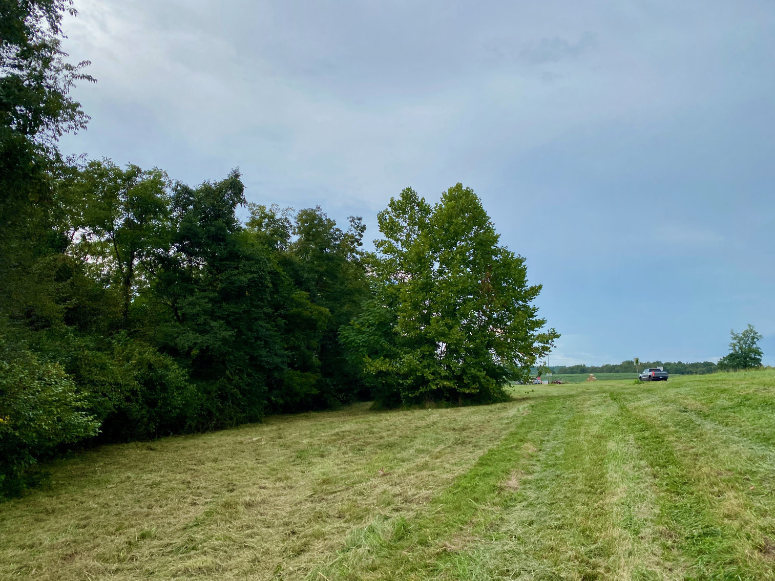 Image for 3.57 +/- Acre Parcel w/Fenced Storage Lot in Orange County, VA--ONLINE ONLY BIDDING!!