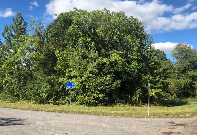 Image for Amelia County, VA Sale of Tax Delinquent Real Estate 10-28-2021