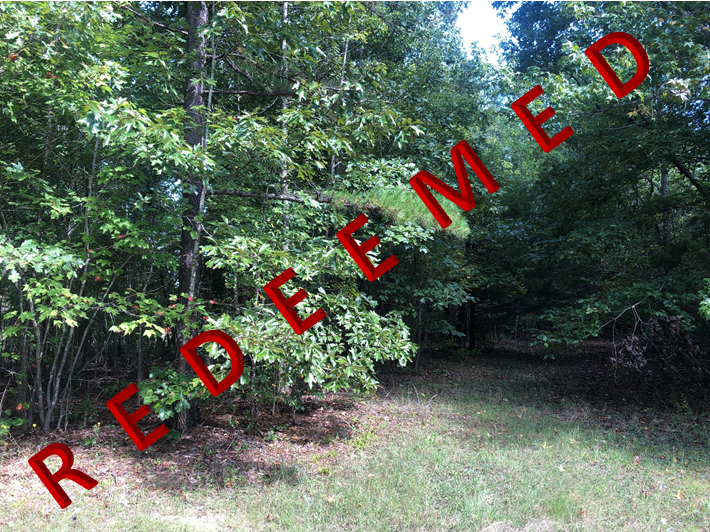 Image for Amelia County, VA Sale of Tax Delinquent Real Estate 10-28-2021