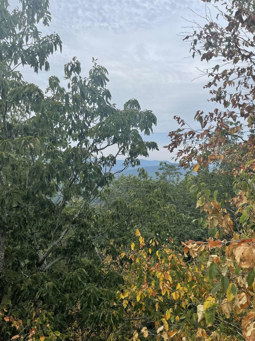 Image for 9.22 +/- Acres Near Broadway VA