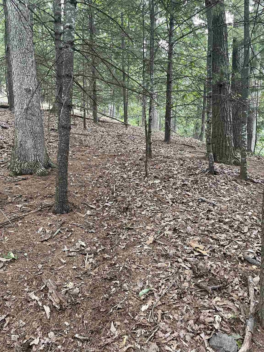 Image for 9.22 +/- Acres Near Broadway VA