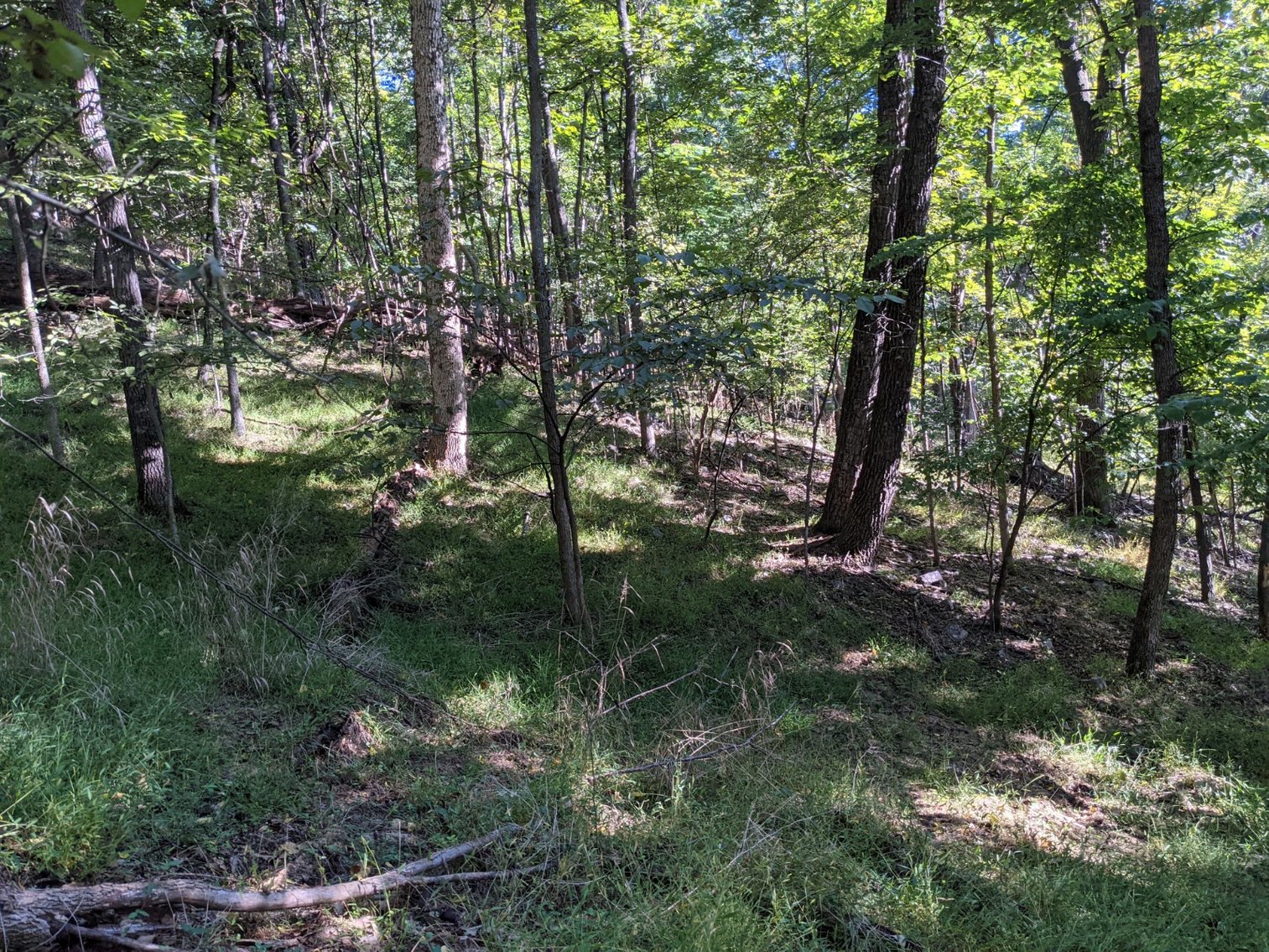 Image for 9.22 +/- Acres Near Broadway VA