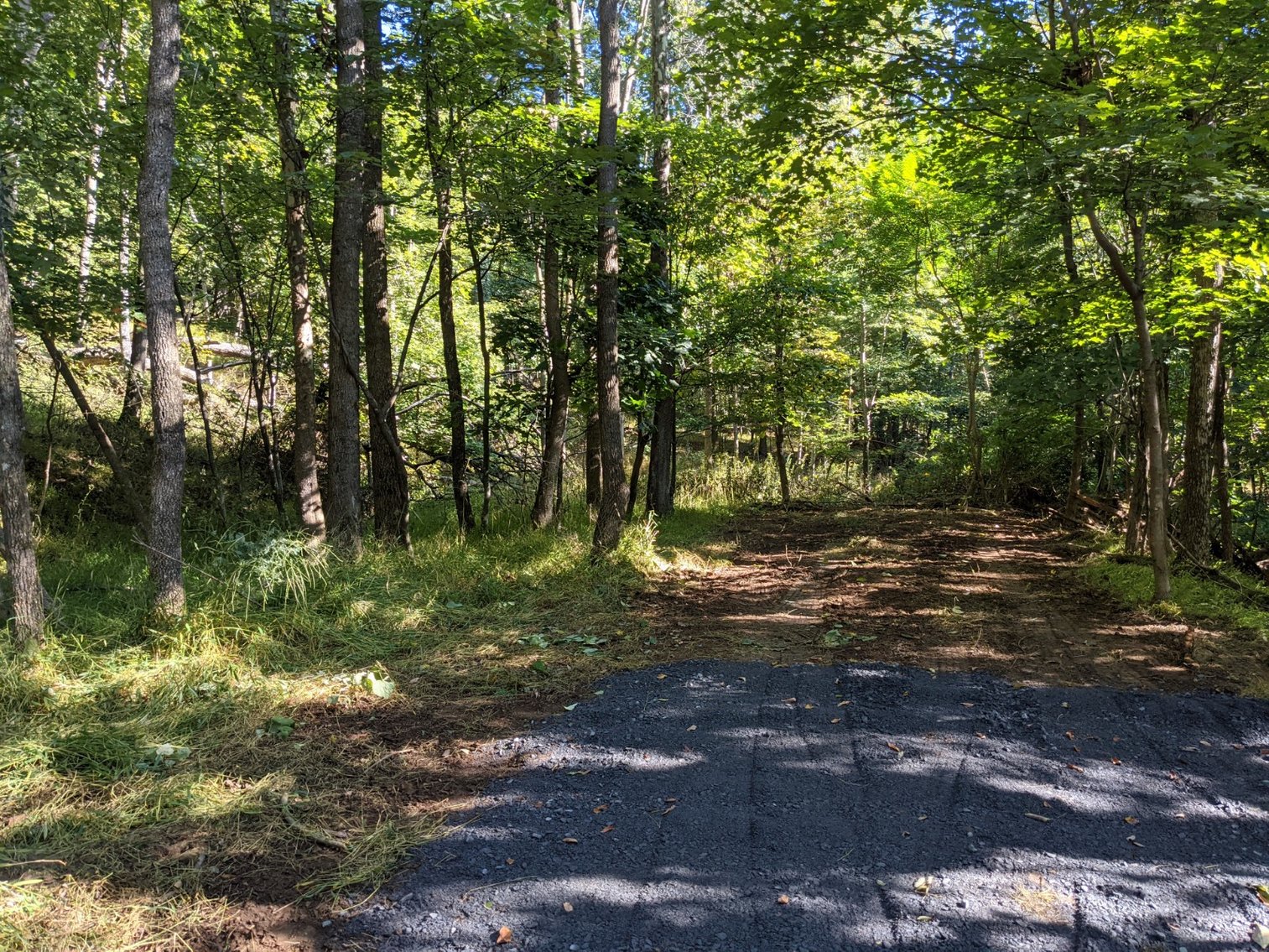 Image for 9.22 +/- Acres Near Broadway VA