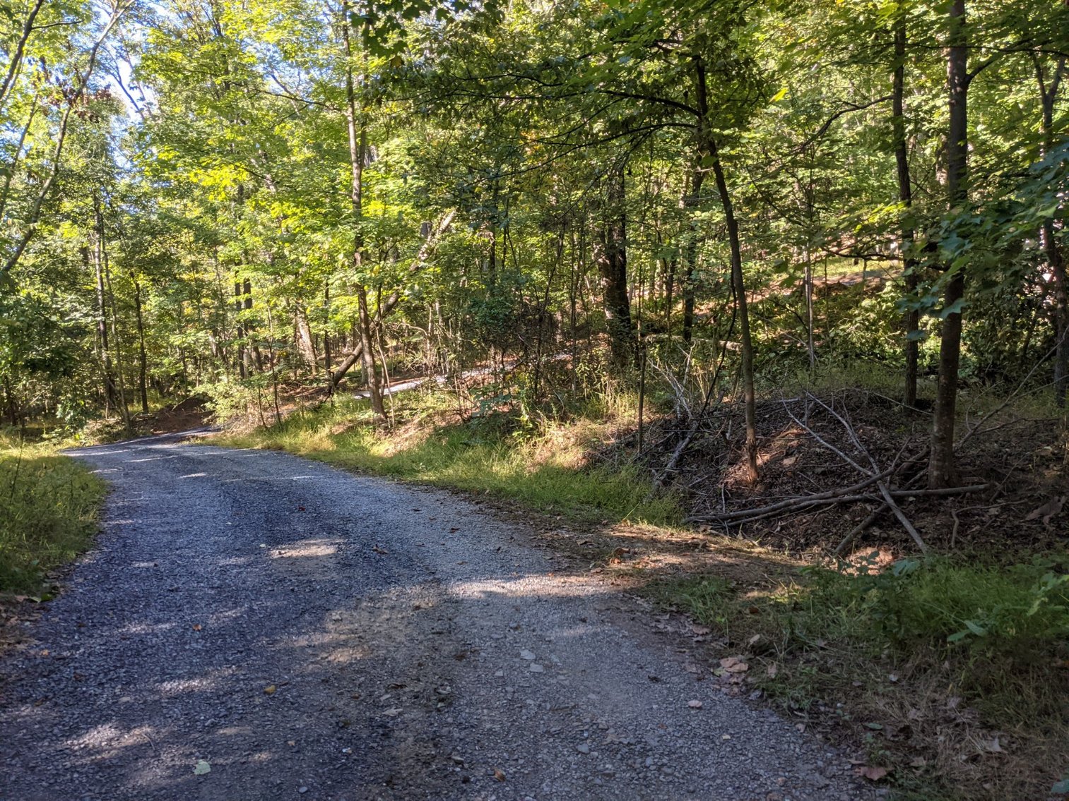 Image for 9.22 +/- Acres Near Broadway VA