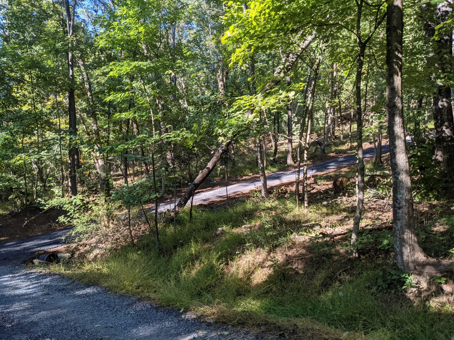 Image for 9.22 +/- Acres Near Broadway VA