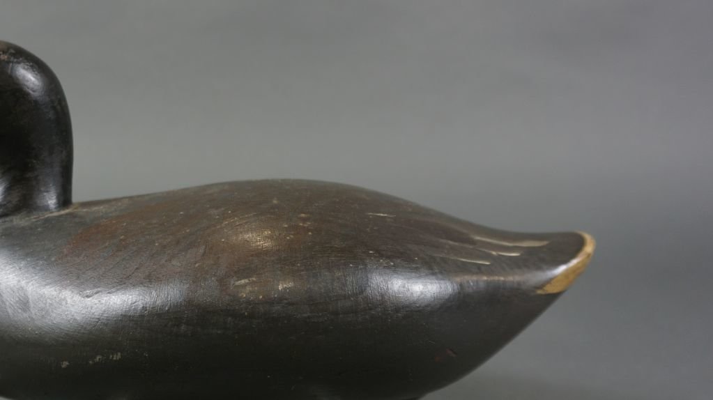 Image for October Online Sportsman's Auction 2021