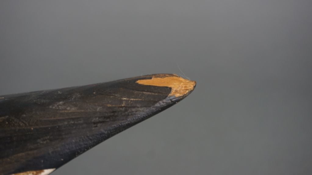 Image for October Online Sportsman's Auction 2021