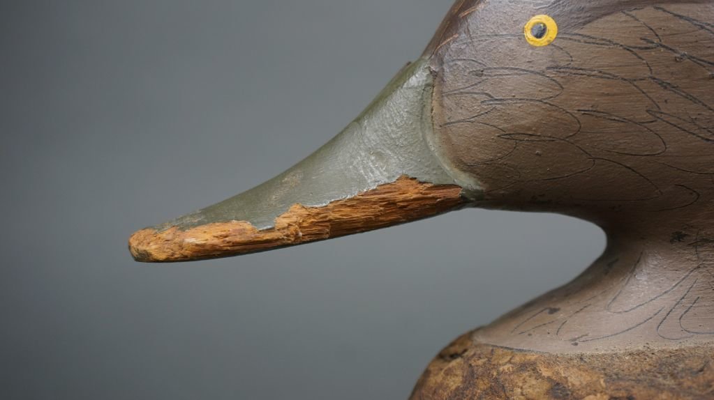 Image for October Online Sportsman's Auction 2021