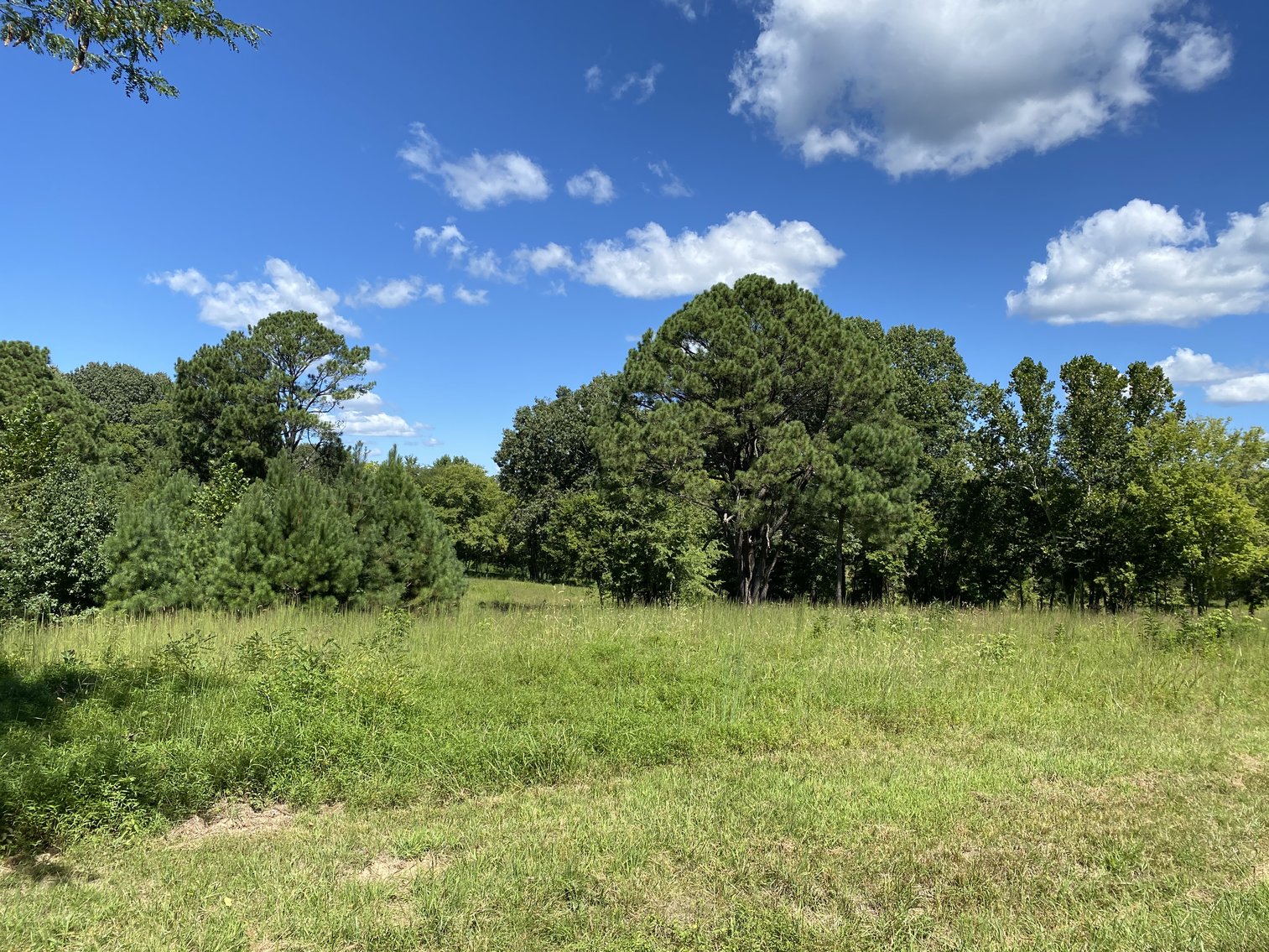 Image for 33+/- UNRESTRICTED Waterfront Acres