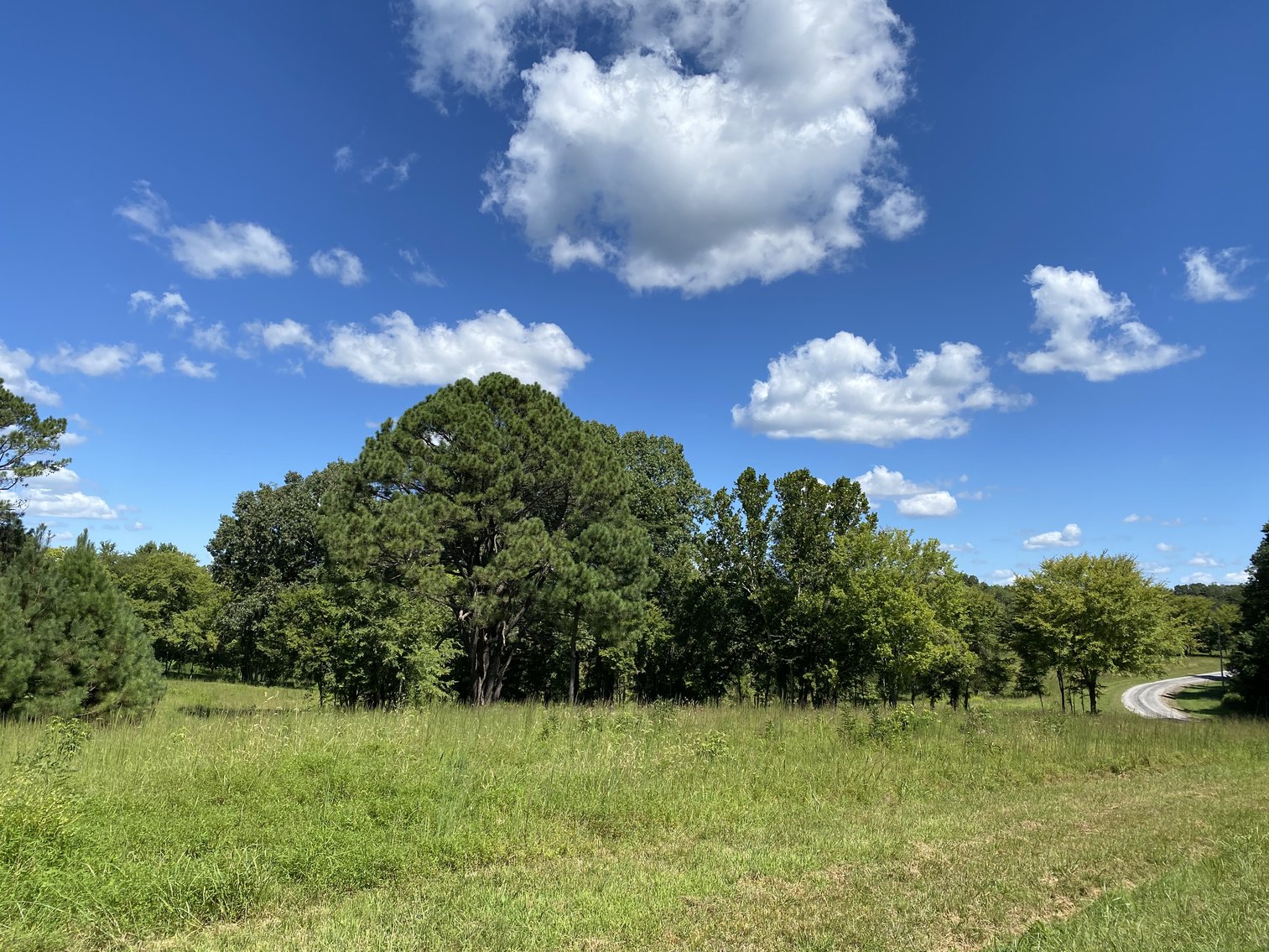 Image for 33+/- UNRESTRICTED Waterfront Acres