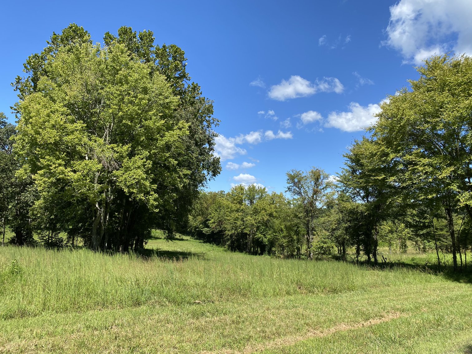 Image for 33+/- UNRESTRICTED Waterfront Acres