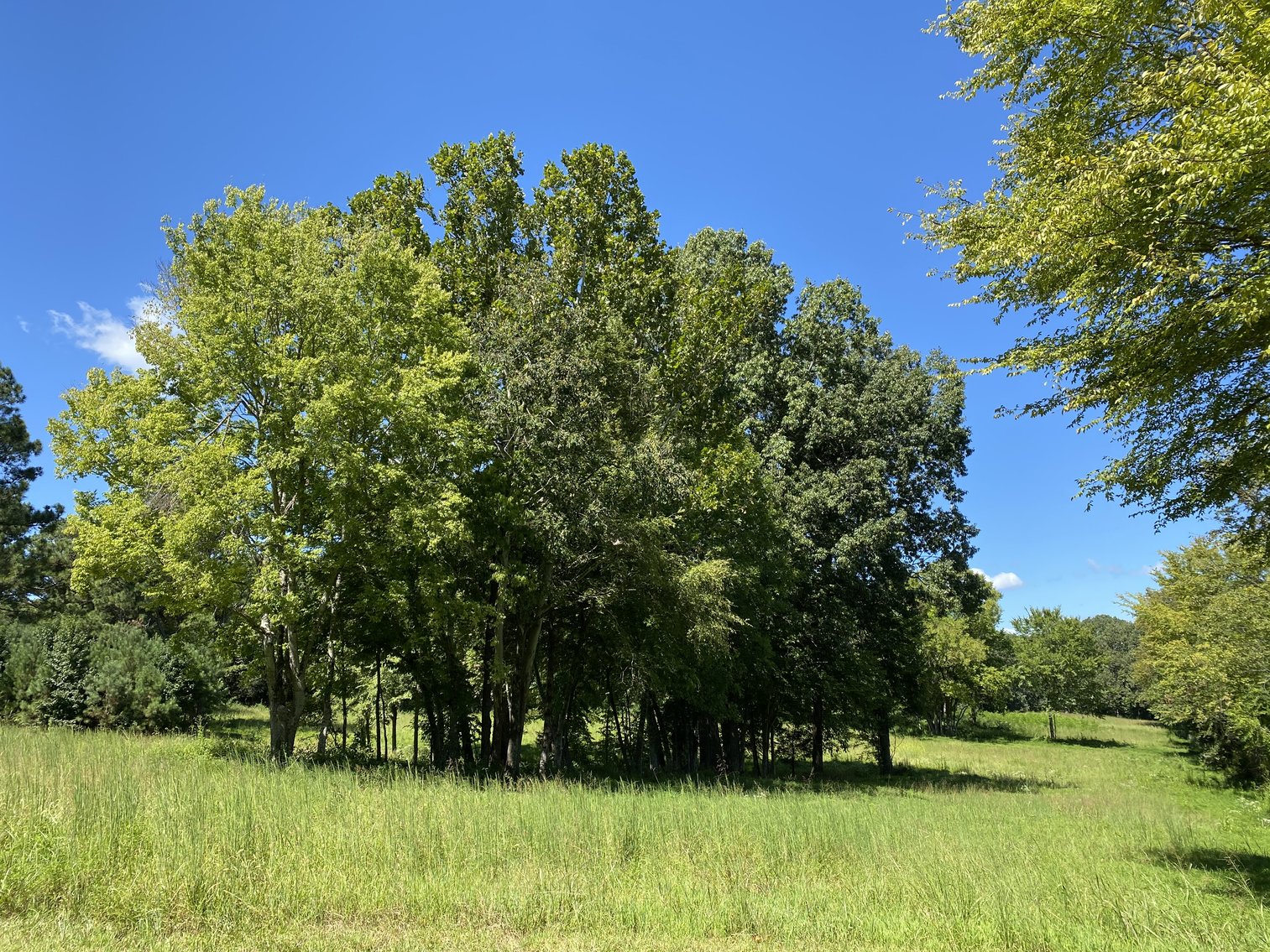 Image for 33+/- UNRESTRICTED Waterfront Acres