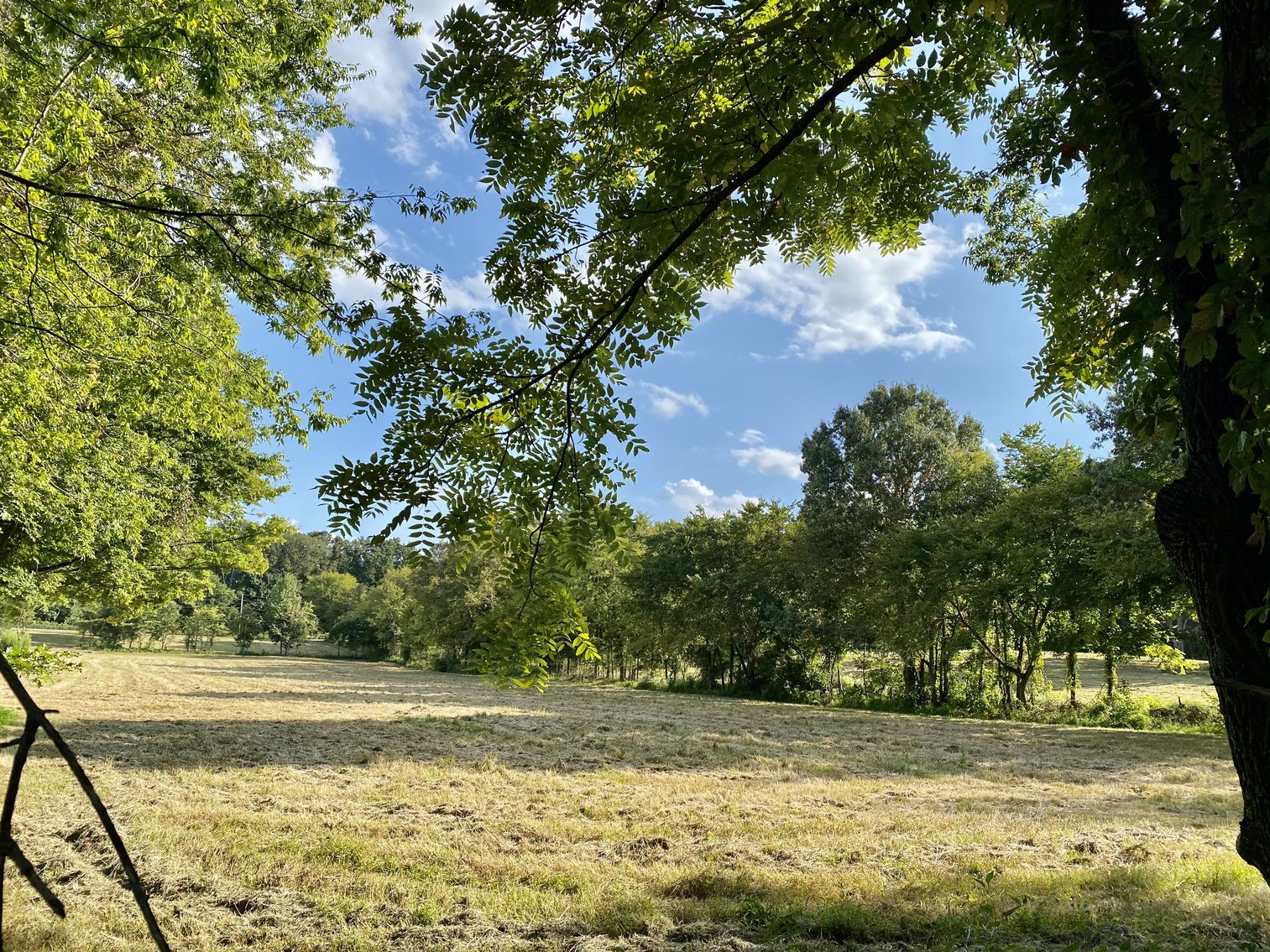 Image for 33+/- UNRESTRICTED Waterfront Acres