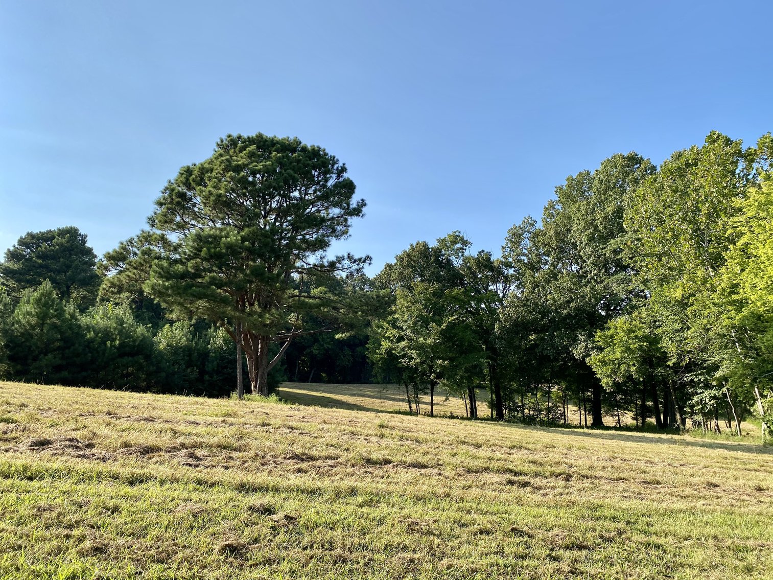 Image for 33+/- UNRESTRICTED Waterfront Acres