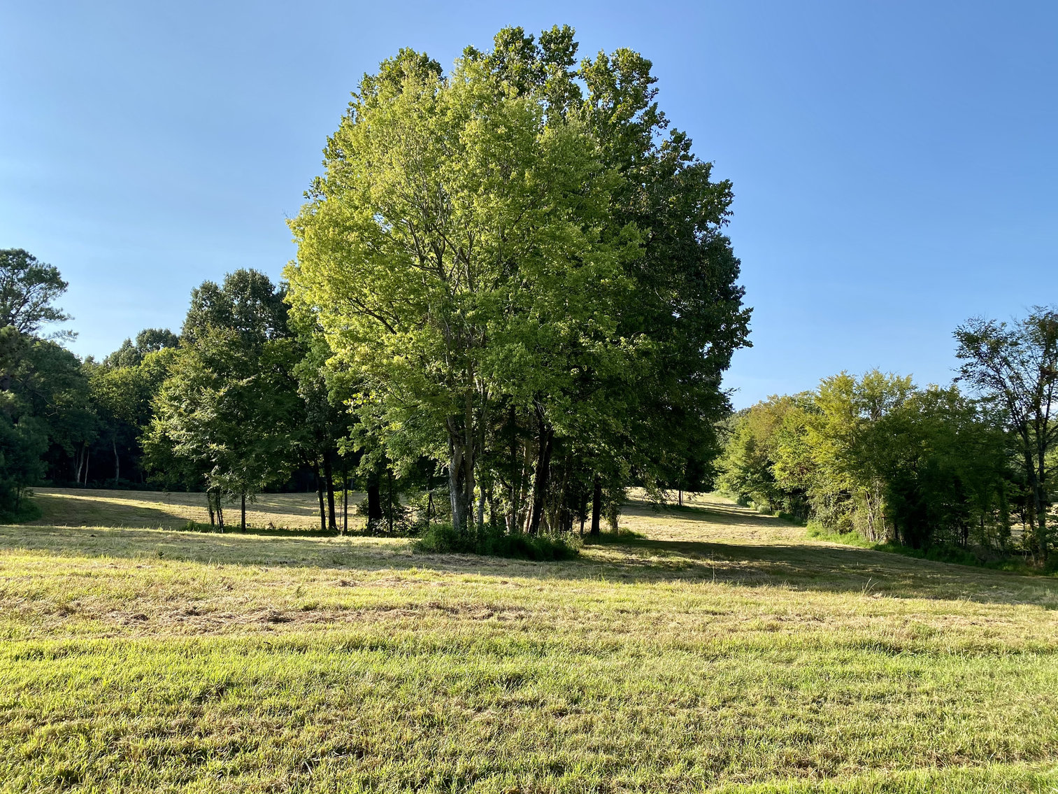 Image for 33+/- UNRESTRICTED Waterfront Acres