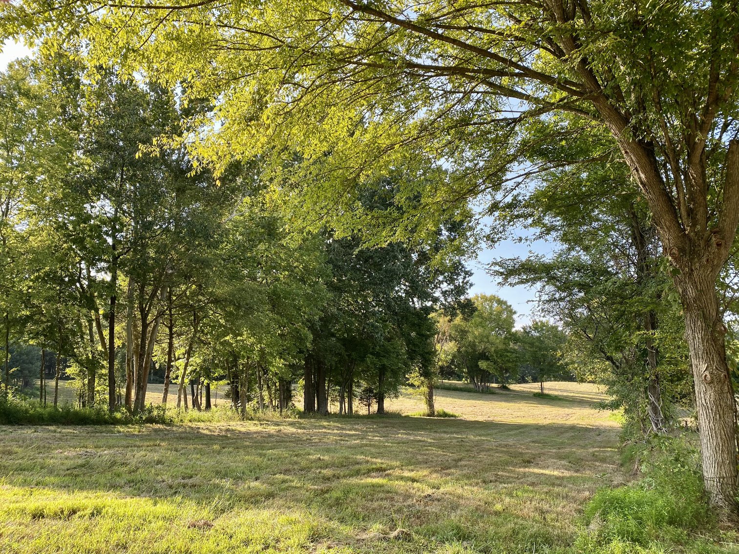 Image for 33+/- UNRESTRICTED Waterfront Acres