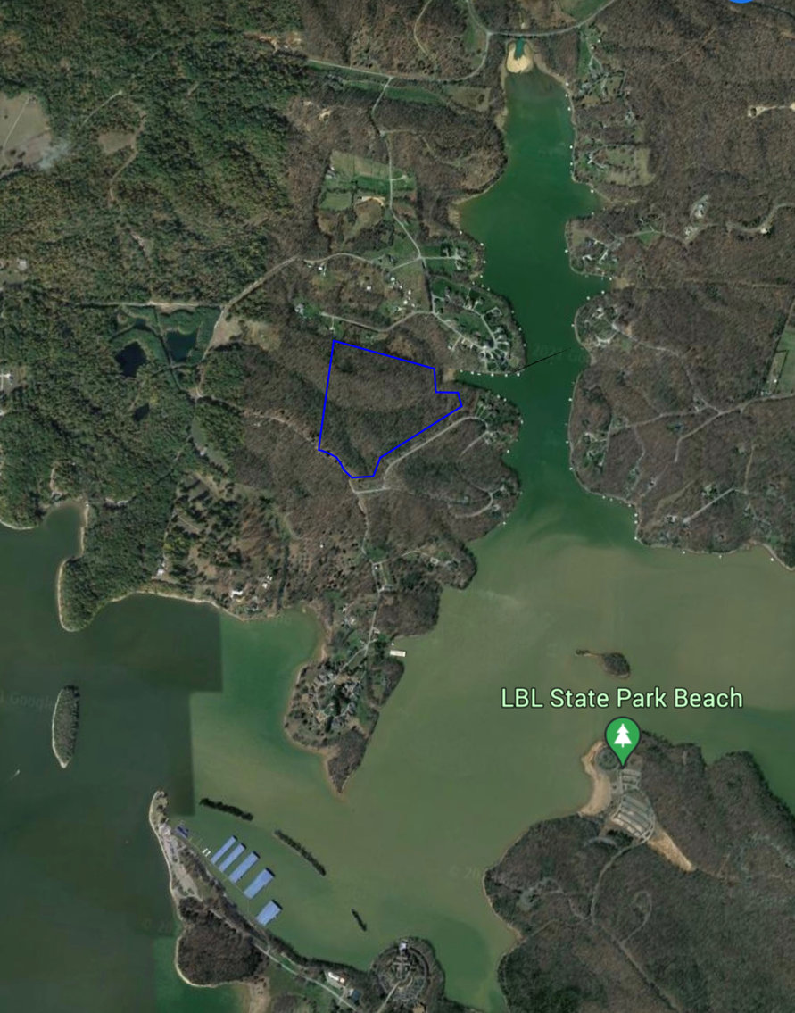 Image for 41+/- Acre ABSOLUTE LAND AUCTION