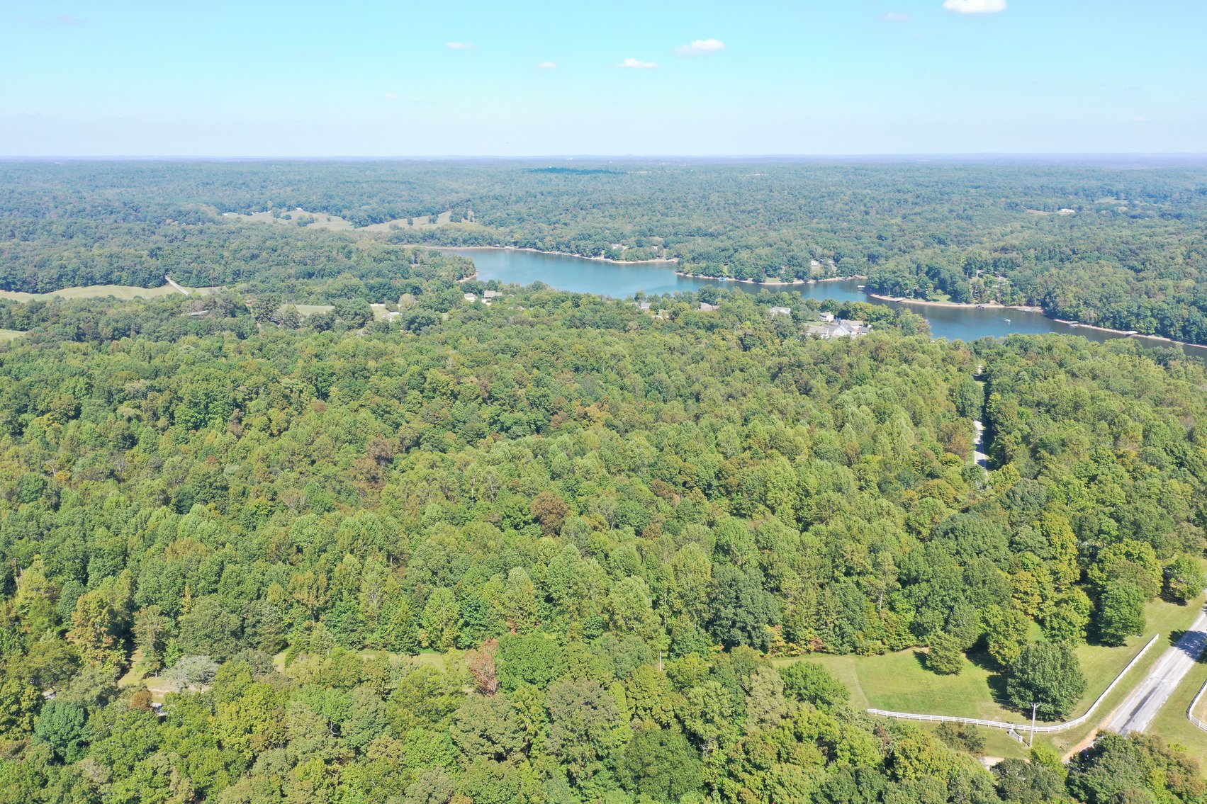Image for 41+/- Acre ABSOLUTE LAND AUCTION