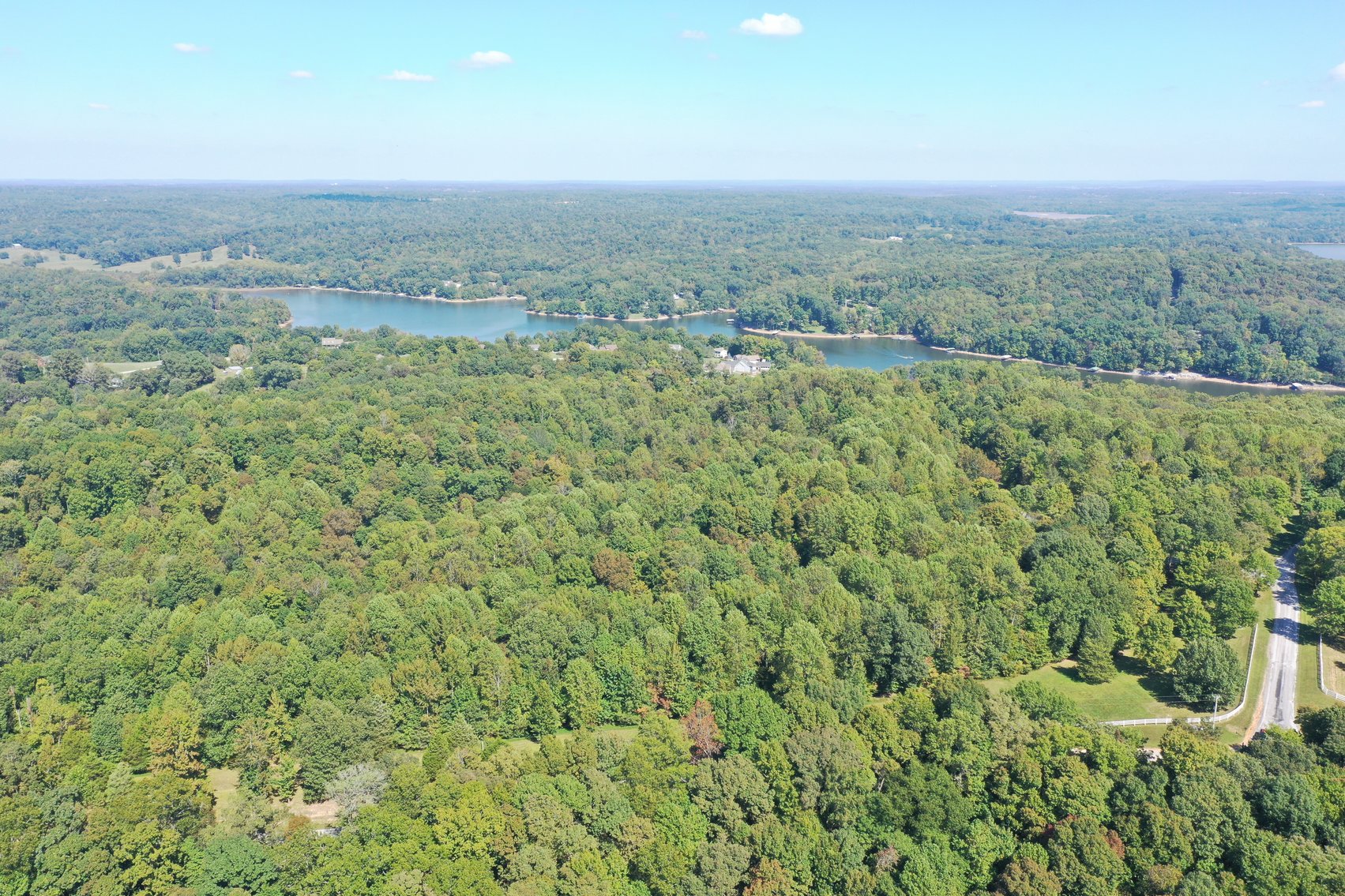 Image for 41+/- Acre ABSOLUTE LAND AUCTION