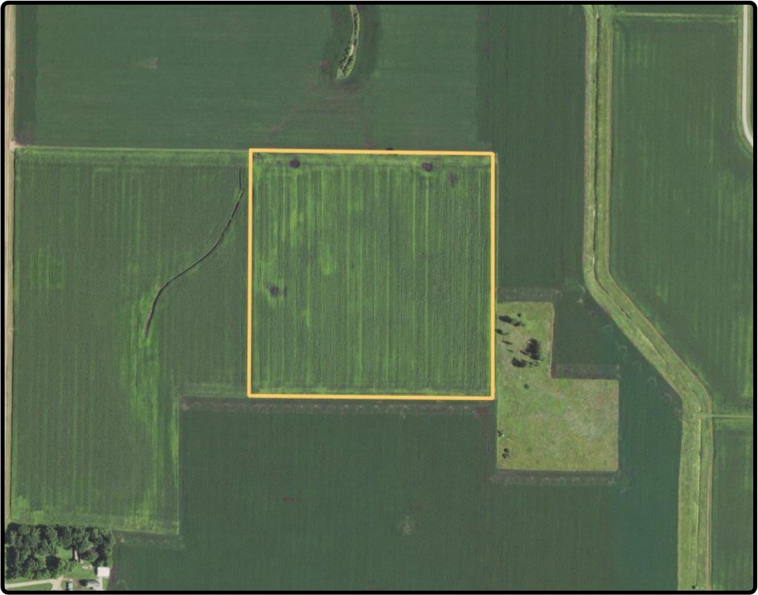 Parcel 3 Blue Earth Co., MN 40.00 Ac., m/l (190004703)