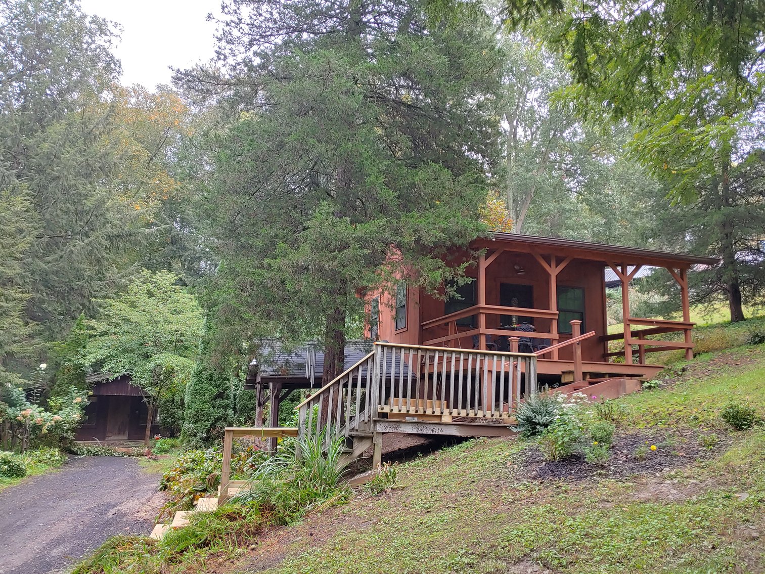 Image for 1 ROOM, 1 BA CABIN AND 2 ROOM LOG CABIN W/ 30’ X 60’ FT BARN/RUN-IN W/ ELECTRIC ON 1.25+/- ACRES