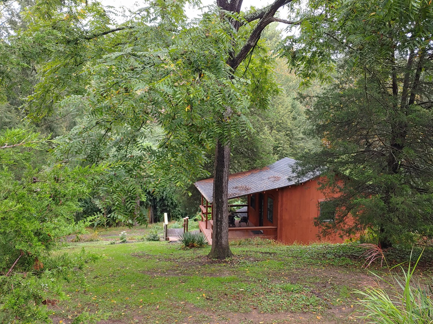 Image for 1 ROOM, 1 BA CABIN AND 2 ROOM LOG CABIN W/ 30’ X 60’ FT BARN/RUN-IN W/ ELECTRIC ON 1.25+/- ACRES