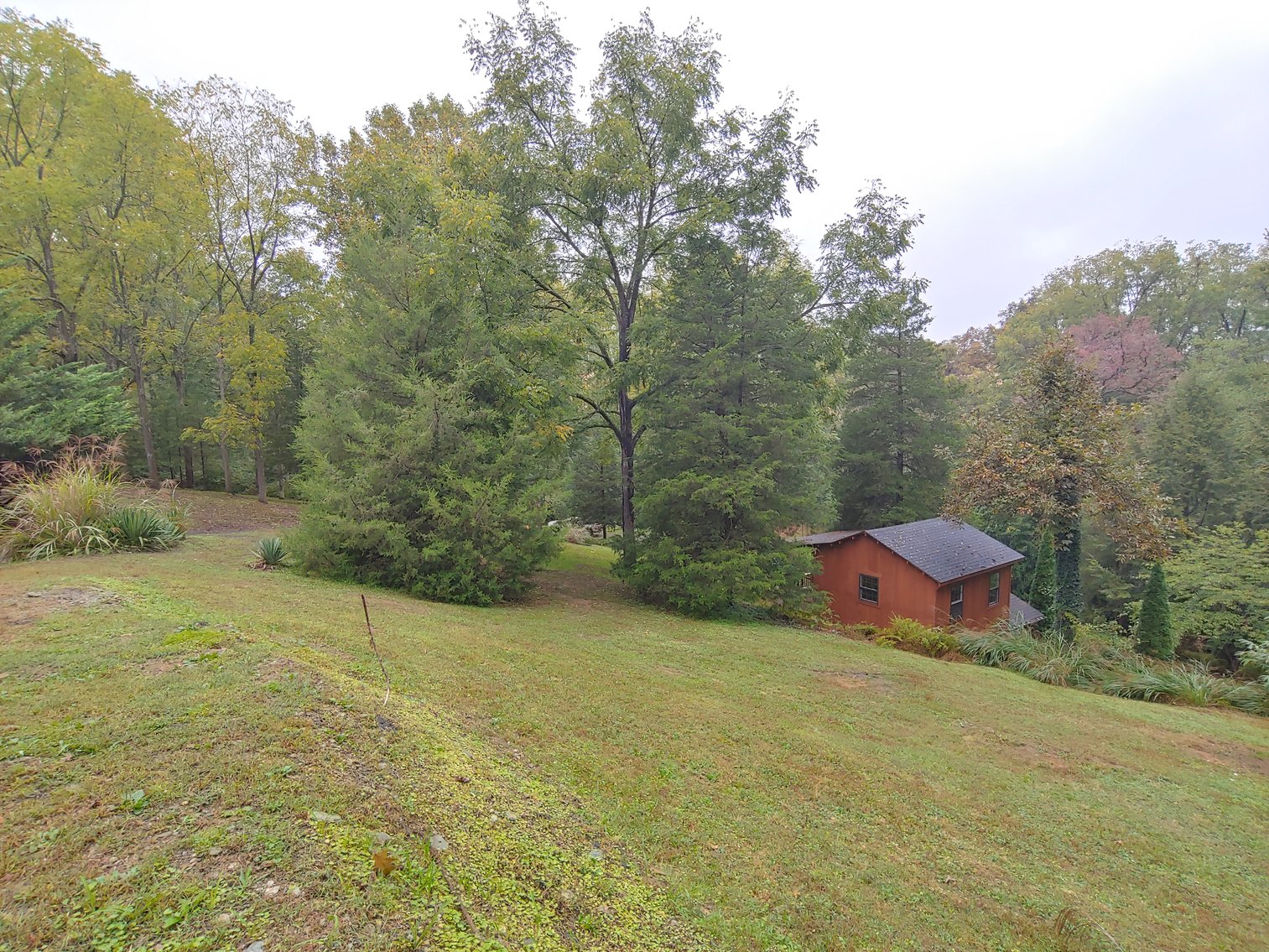 Image for 1 ROOM, 1 BA CABIN AND 2 ROOM LOG CABIN W/ 30’ X 60’ FT BARN/RUN-IN W/ ELECTRIC ON 1.25+/- ACRES