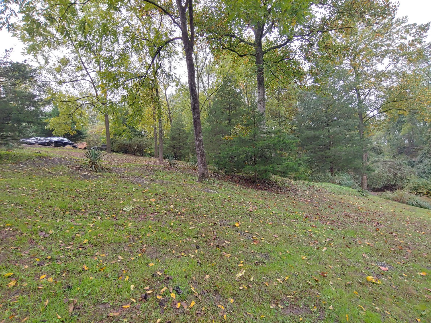 Image for 1 ROOM, 1 BA CABIN AND 2 ROOM LOG CABIN W/ 30’ X 60’ FT BARN/RUN-IN W/ ELECTRIC ON 1.25+/- ACRES