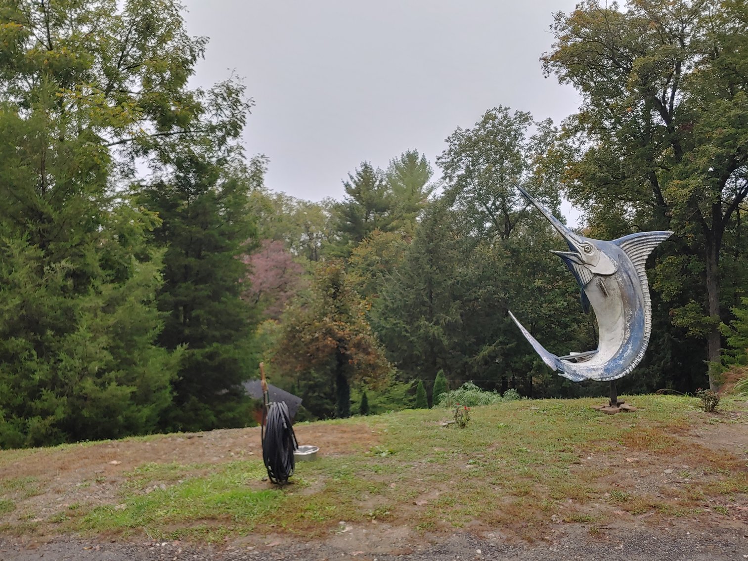 Image for 1 ROOM, 1 BA CABIN AND 2 ROOM LOG CABIN W/ 30’ X 60’ FT BARN/RUN-IN W/ ELECTRIC ON 1.25+/- ACRES