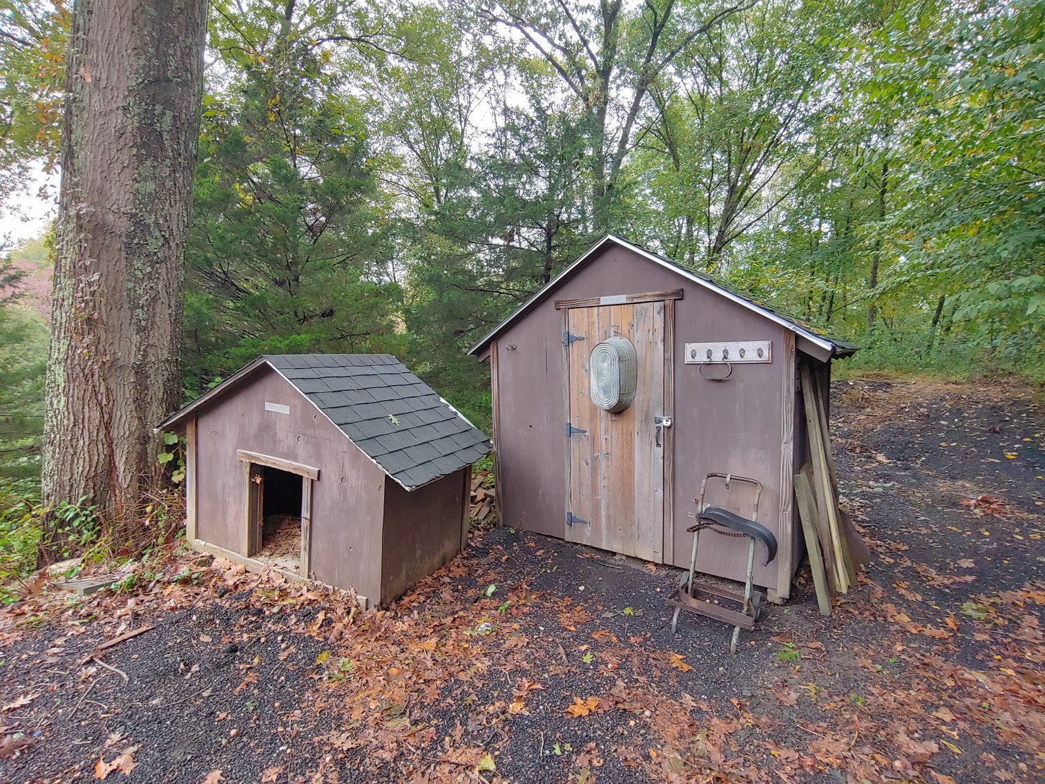 Image for 1 ROOM, 1 BA CABIN AND 2 ROOM LOG CABIN W/ 30’ X 60’ FT BARN/RUN-IN W/ ELECTRIC ON 1.25+/- ACRES