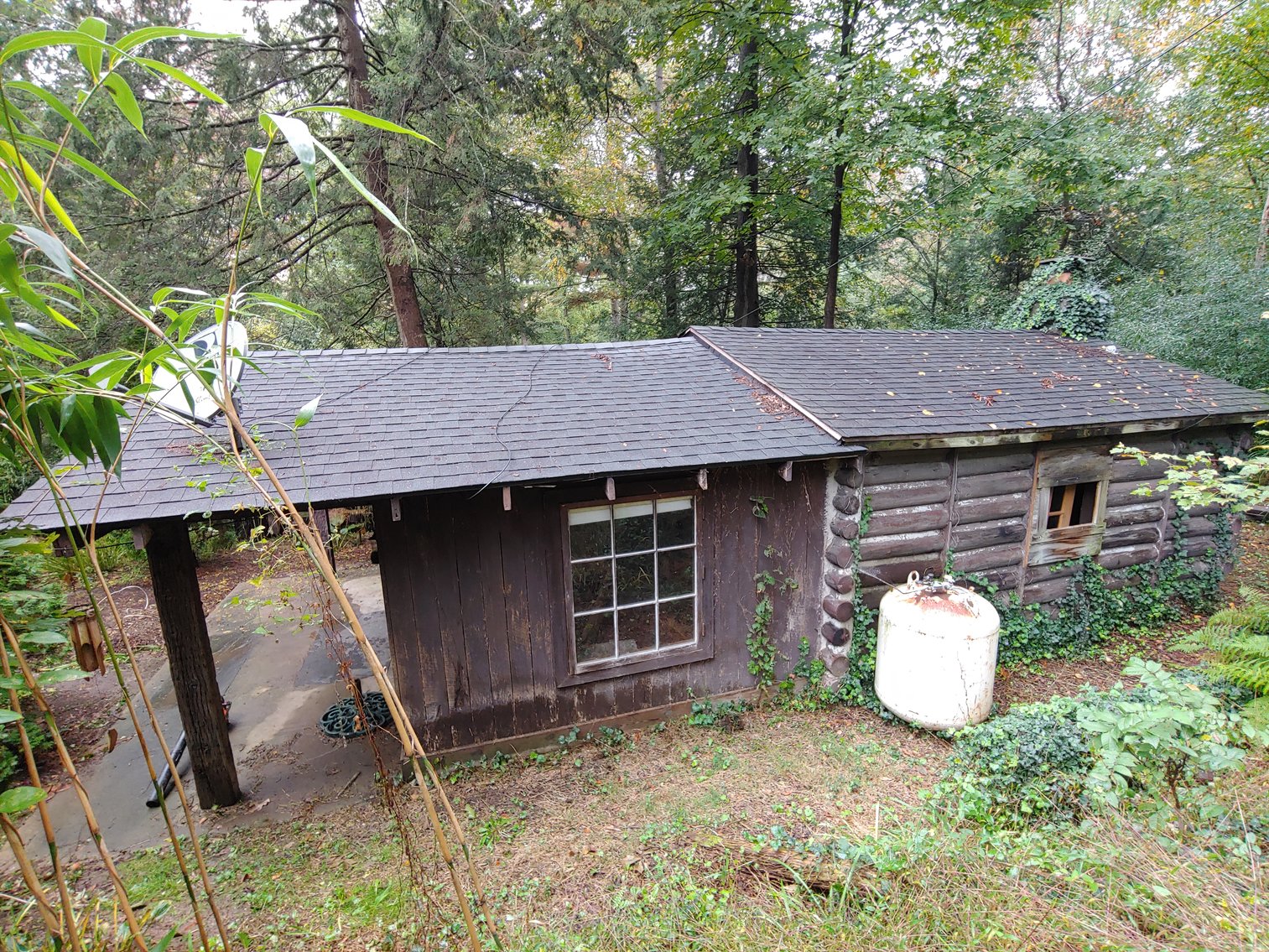 Image for 1 ROOM, 1 BA CABIN AND 2 ROOM LOG CABIN W/ 30’ X 60’ FT BARN/RUN-IN W/ ELECTRIC ON 1.25+/- ACRES