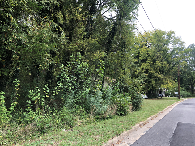 Image for Halifax County VA Sale of Tax Delinquent Real Estate