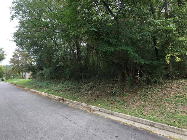 Image for Halifax County VA Sale of Tax Delinquent Real Estate