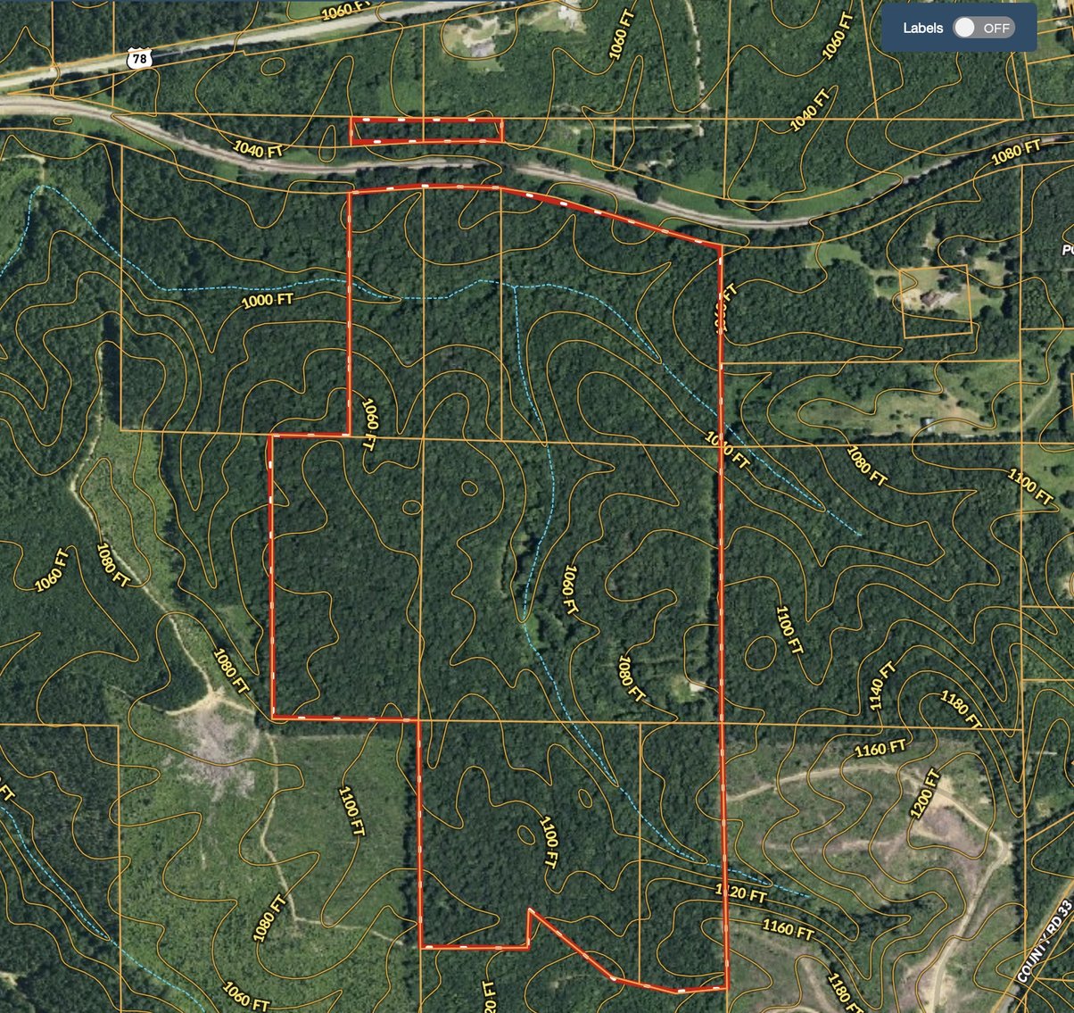 Image for Timber Auction