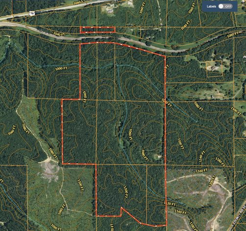 Image for Timber Auction