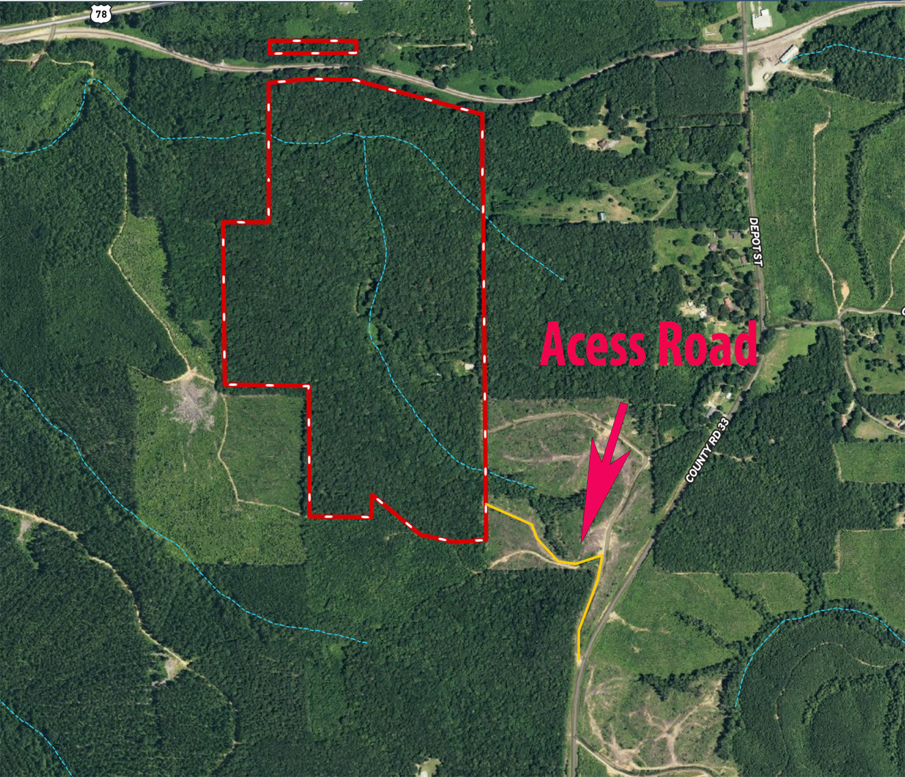 Image for Timber Auction