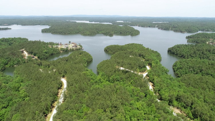 Image for 40 Acres on Lake Wedowee (Lake Harris) sells at or above 1,400,000!