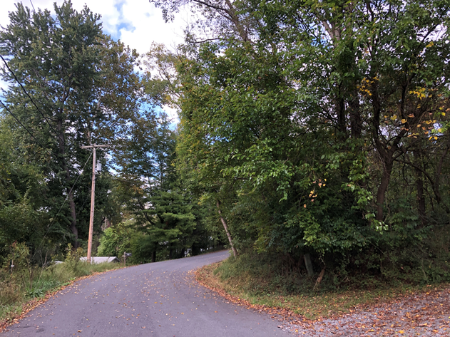 Image for Warren County VA Sale of Tax Delinquent Real Estate