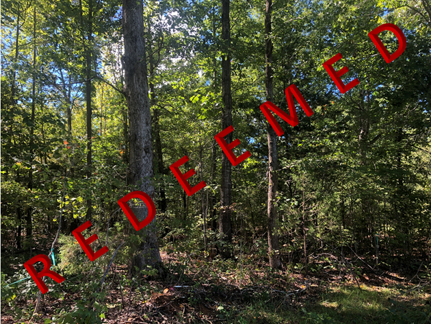Image for Amelia County, VA Sale of Tax Delinquent Real Estate 10-28-2021