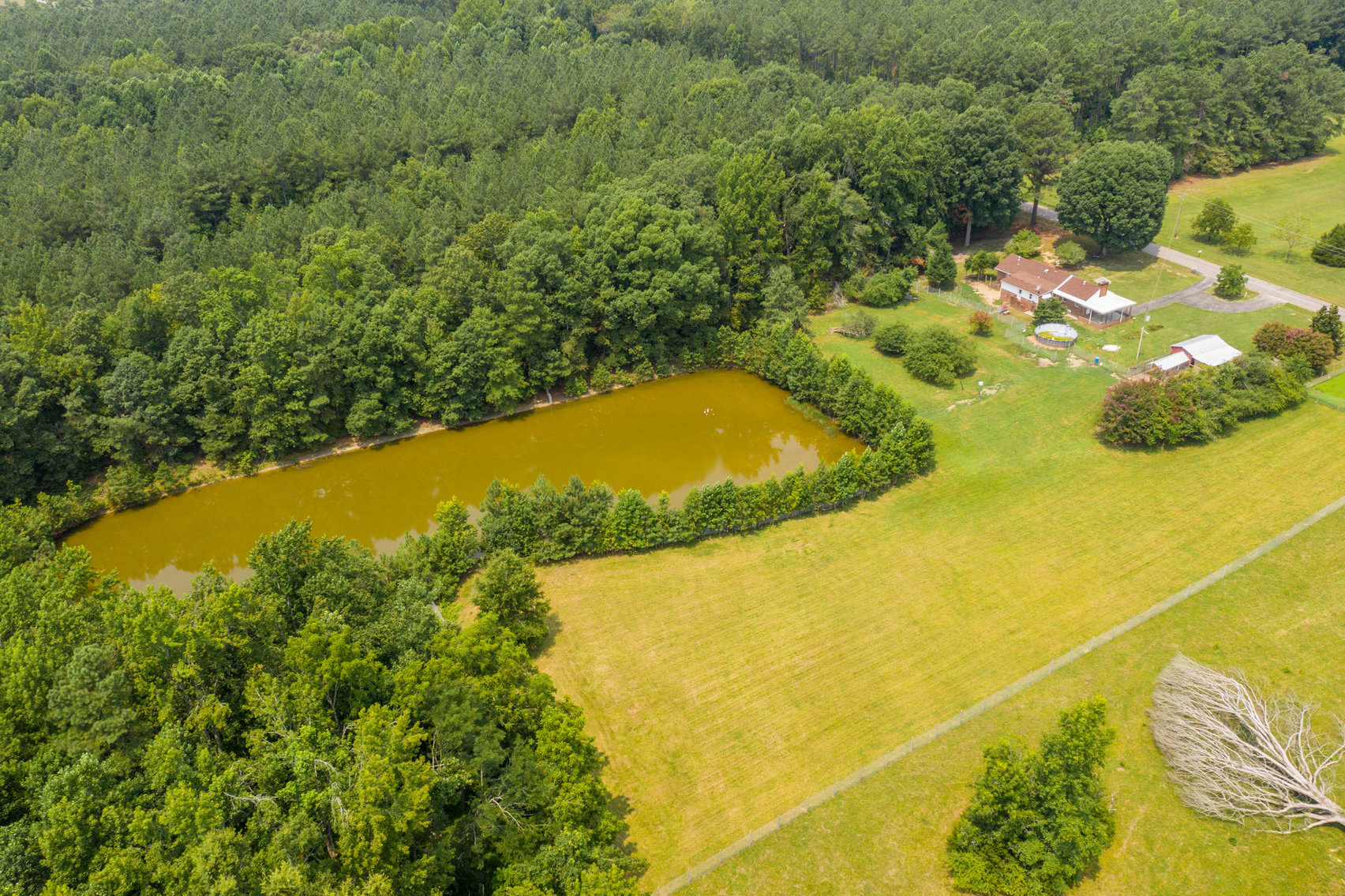 Image for 3 BR/2 BA Brick Rancher Situated on 20± Acres With a Pond - 1,740 SQFT - 4317 Grubby Rd, Wilsons, VA 23894