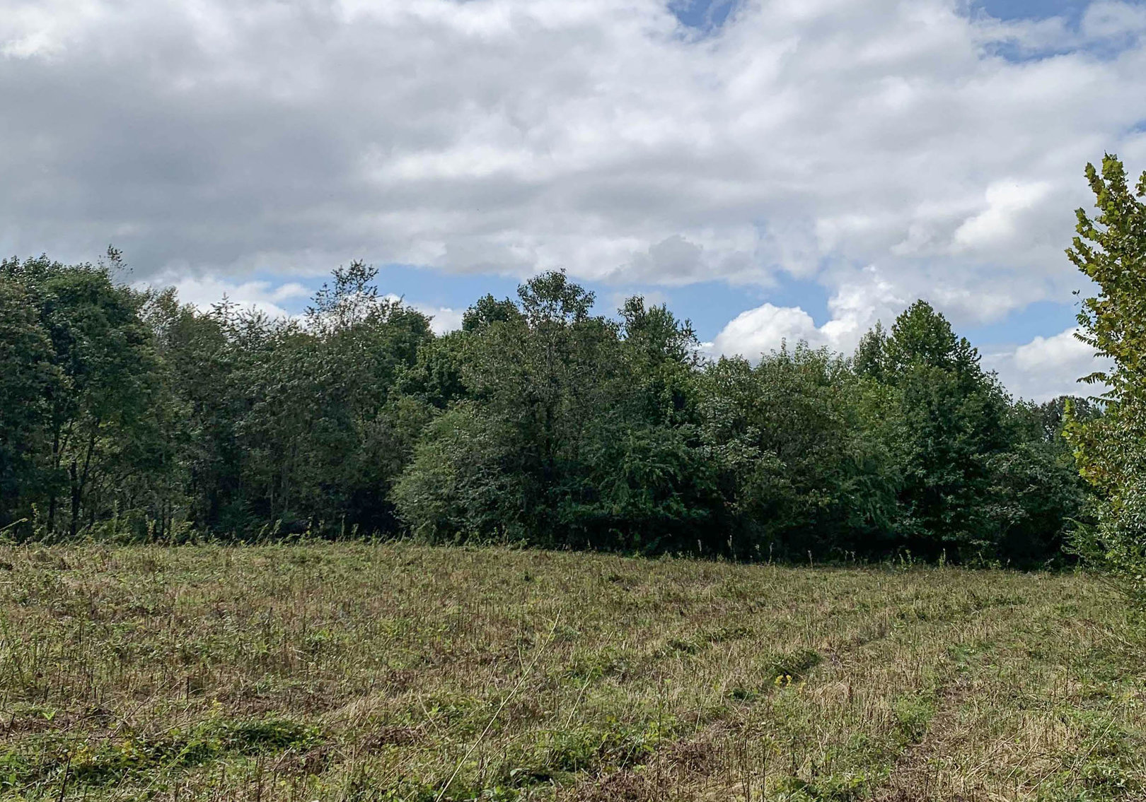 1055 Fannie Lane, Charlotte