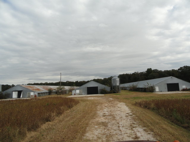 Image for Real Estate Auction - Poultry Farm