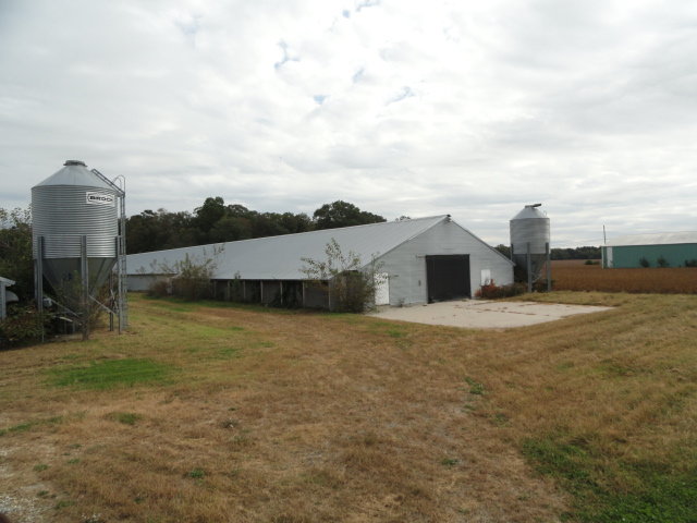 Image for Real Estate Auction - Poultry Farm