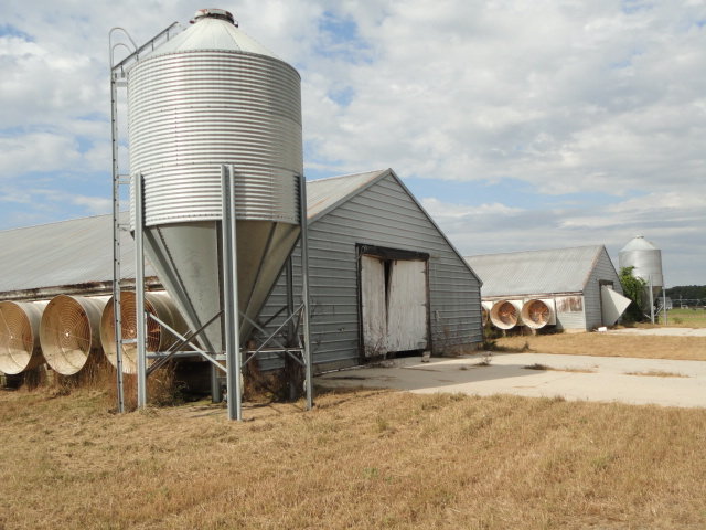 Image for Real Estate Auction - Poultry Farm