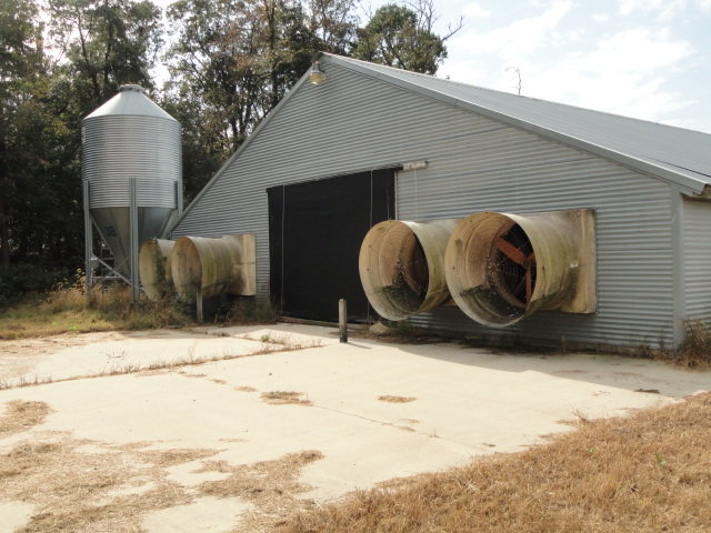 Image for Real Estate Auction - Poultry Farm