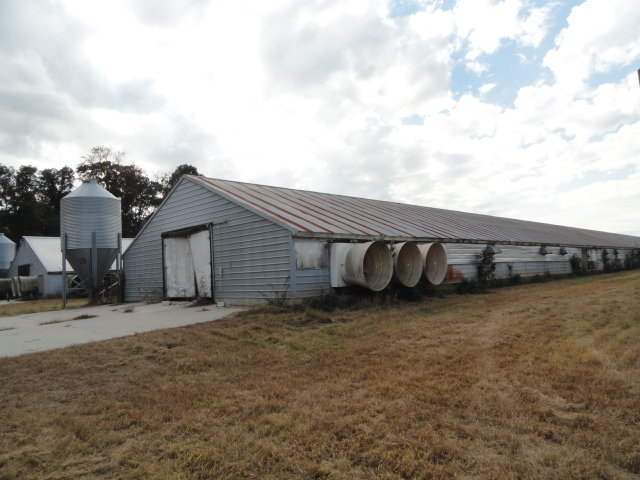 Image for Real Estate Auction - Poultry Farm
