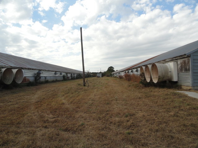 Image for Real Estate Auction - Poultry Farm