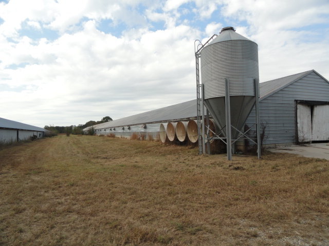 Image for Real Estate Auction - Poultry Farm
