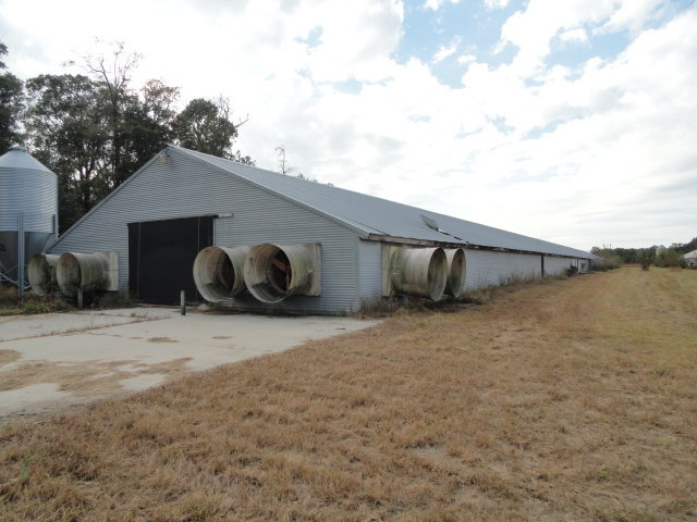 Image for Real Estate Auction - Poultry Farm