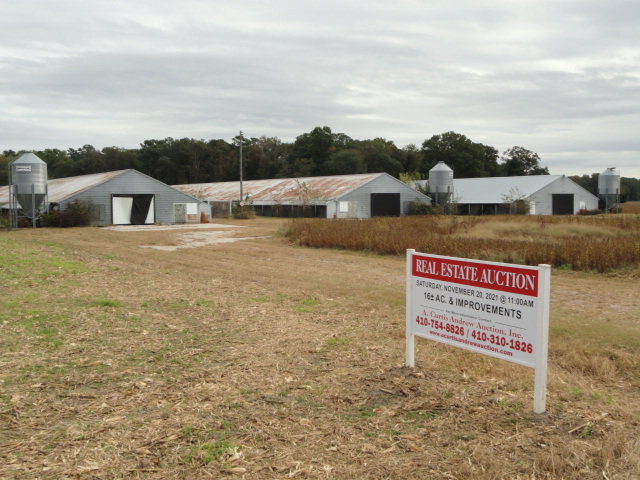Image for Real Estate Auction - Poultry Farm